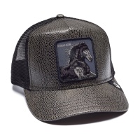 Кепка бейсболка GOORIN BROTHERS DARK HORSE GB91672 341564 SP  фото, kupilegko.ru