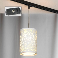 Трековый светильник однофазный Lussole Track Lights LSF-2306-01-TAB  фото, kupilegko.ru
