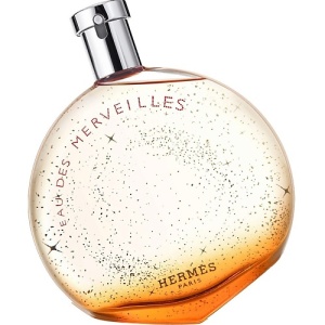 Женская туалетная вода, парфюм HERMÈS HERMES Eau Des Merveilles 143100513 LT  фото, kupilegko.ru