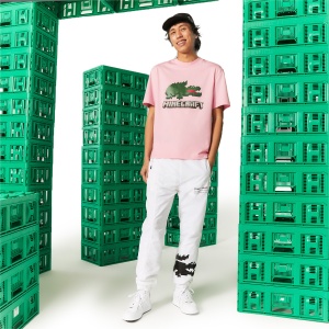 Футболка LACOSTE MINECRAFT TH5038 327200 SP  фото, kupilegko.ru