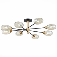 Потолочная люстра Evoluce Gloa SLE155502-08  фото, kupilegko.ru