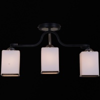 Потолочная люстра Reluce 32303-0.3-03  фото, kupilegko.ru