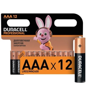 Батарейки DURACELL Professional ААА/LR03 бл/12шт 53782 GU  фото, kupilegko.ru