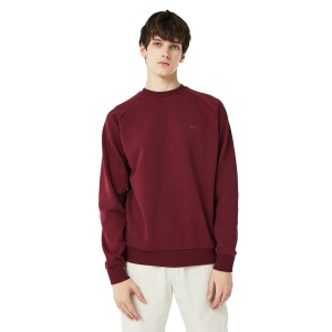 Толстовка LACOSTE CREW NECK SH2410 364689 SP  фото, kupilegko.ru