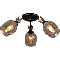 Потолочная люстра Reluce 81701-0.3-03  фото, kupilegko.ru