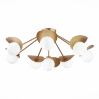 Потолочная люстра Evoluce Bolzano SLE220502-08  фото, kupilegko.ru