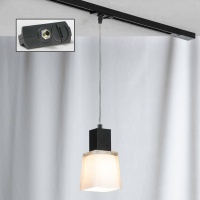 Трековый светильник однофазный Lussole Track Lights LSC-2506-01-TAB  фото, kupilegko.ru