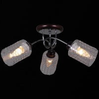 Потолочная люстра Reluce 32298-0.3-03  фото, kupilegko.ru