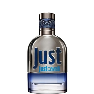 Мужская туалетная вода, парфюм ROBERTO CAVALLI Just Cavalli Man 105000102 LT  фото, kupilegko.ru