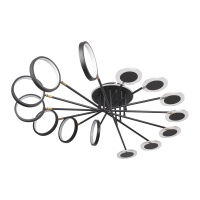 Потолочная светодиодная люстра Loft IT 10164L Black  фото, kupilegko.ru