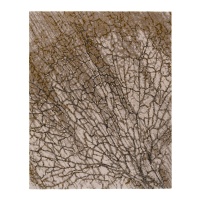 Eclipse Axis Ковер Tai Ping  фото, kupilegko.ru