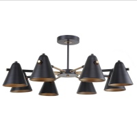 Потолочная люстра F-Promo Rigor 2844-8P  фото, kupilegko.ru