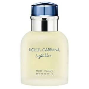 Мужская туалетная вода, парфюм DOLCE&GABBANA Light Blue Pour Homme 4754 LT  фото, kupilegko.ru