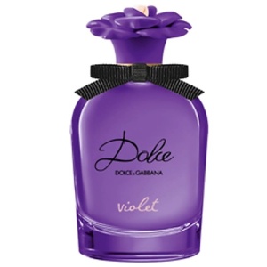 Женская туалетная вода, парфюм DOLCE&GABBANA Dolce Violet 150400387 LT  фото, kupilegko.ru