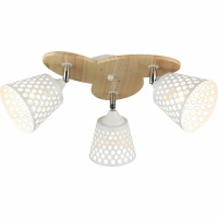 Потолочная люстра Reluce 04721-0.3-03  фото, kupilegko.ru