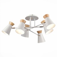 Потолочная люстра Evoluce Alfeo SLE1252-502-06  фото, kupilegko.ru