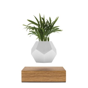Lyfe Oak/White Кашпо левитирующее Flyte  фото, kupilegko.ru