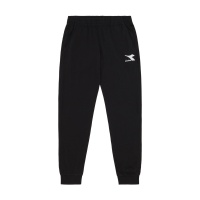 Спортивные штаны DIADORA PANT CUFF LIGHT CORE DR102179487 353542 SP  фото, kupilegko.ru