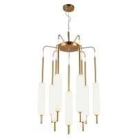 Подвесная светодиодная люстра Aployt APL.010.03.80  фото, kupilegko.ru