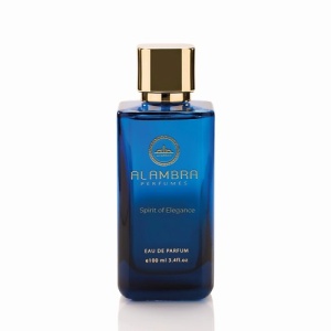 Мужская парфюмерная вода AL AMBRA PERFUMES Spirit Of Elegance 139100276 LT  фото, kupilegko.ru