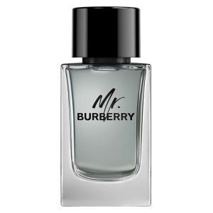 Мужская туалетная вода, парфюм BURBERRY Mr. Burberry 43100016 LT  фото, kupilegko.ru