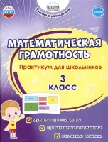 Математическая грамотность. 3 класс. Практикум для школьников. Буряк М.В., Шейкина С.А.  фото, kupilegko.ru