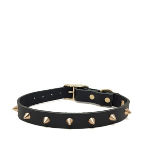 Smooth Spike Gold Noir Ошейник для собак L Nice Digs  фото, kupilegko.ru