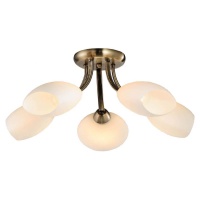 Потолочная люстра Lussole Lgo LSP-0189  фото, kupilegko.ru