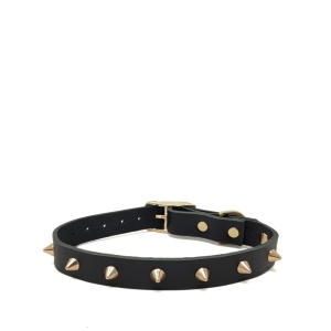 Smooth Spike Gold Noir Ошейник для собак M Nice Digs  фото, kupilegko.ru