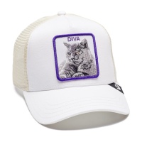 Кепка бейсболка GOORIN BROTHERS DIVA STANCE GB91675 341566 SP  фото, kupilegko.ru