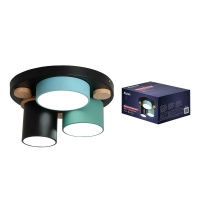 Потолочная люстра Ritter SCANDIA 52074 0  фото, kupilegko.ru