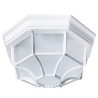 Уличные потолочные Arte Lamp Pegasus A3100PL-1WH  фото, kupilegko.ru