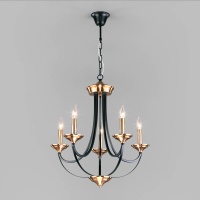Подвесная люстра Eurosvet Lazzaro 60098/5 черный  фото, kupilegko.ru