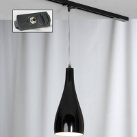 Трековый светильник однофазный Lussole Track Lights LSF-1196-01-TAB  фото, kupilegko.ru