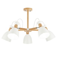 Потолочная люстра Evoluce Balcamo SLE103802-05  фото, kupilegko.ru