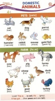 Карточка-шпаргалка. Domestic Animals (Домашние животные).  фото, kupilegko.ru