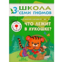 ШСГ. Четвертый год обучения. Что лежит в лукошке. Для занятий с детьми от 3 до 4 лет. Денисова Д.. Денисова Д.  фото, kupilegko.ru