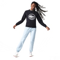 Толстовка LACOSTE SF7072 326806 SP  фото, kupilegko.ru