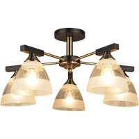 Потолочная люстра Reluce 03626-0.3-05  фото, kupilegko.ru