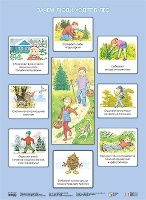 Зачем люди ходят в лес (Плакаты). Николаева С. Н  фото, kupilegko.ru