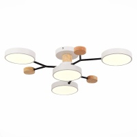 Потолочная светодиодная люстра Evoluce FAEMA SLE6006-502-04  фото, kupilegko.ru