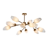 Потолочная люстра Indigo Boccio 13003/12C Brass V000005  фото, kupilegko.ru