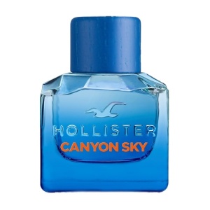 Мужская туалетная вода, парфюм HOLLISTER Canyon Sky For Him 145100620 LT  фото, kupilegko.ru