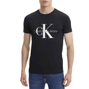 Футболка CALVIN KLEIN CORE MONOLOGO SLIM T CKJ30J320935 364036 SP  фото, kupilegko.ru