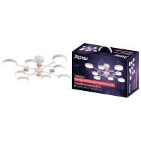 Потолочная люстра Ritter SCANDIA 51657 0  фото, kupilegko.ru