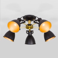 Потолочная люстра Eurosvet Denley 70112/5 черный  фото, kupilegko.ru