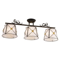 Потолочная люстра Citilux Дрезден CL409232  фото, kupilegko.ru