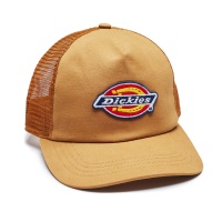 Кепка бейсболка DICKIES Sumiton Trucker Cap DK0A4XYG 351397 SP  фото, kupilegko.ru