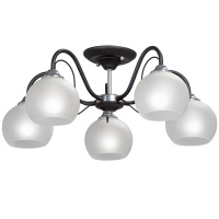 Потолочная люстра Vitaluce V3948-1/5PL  фото, kupilegko.ru