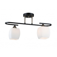 Потолочная люстра IMEX MD.5485-2-S-BK+FGD  фото, kupilegko.ru